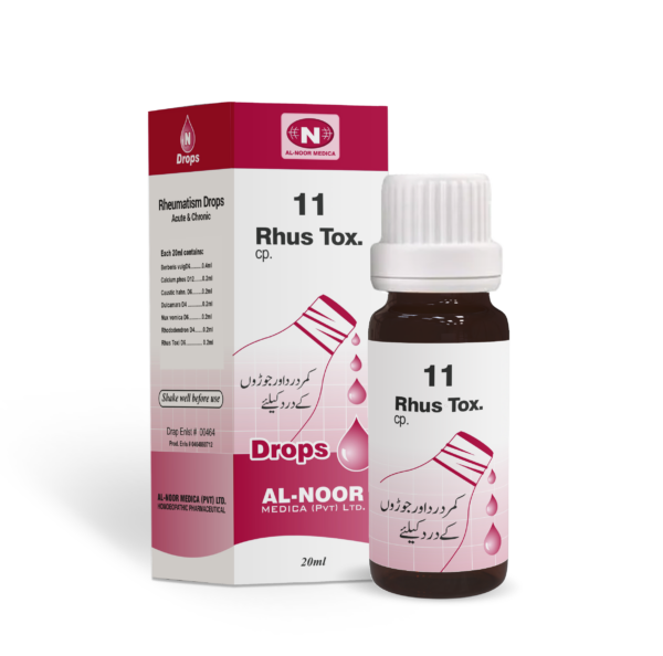 Al Noor N-11