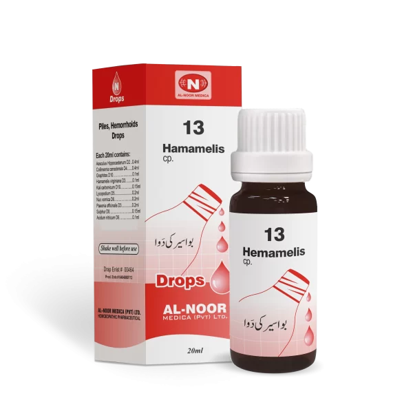 Al-Noor N-13