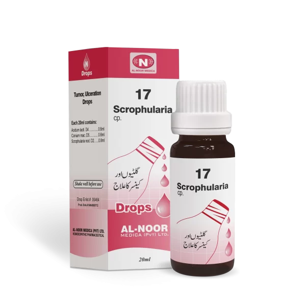 Al Noor N-17