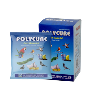 PolyCure