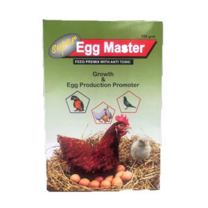 Egg Master