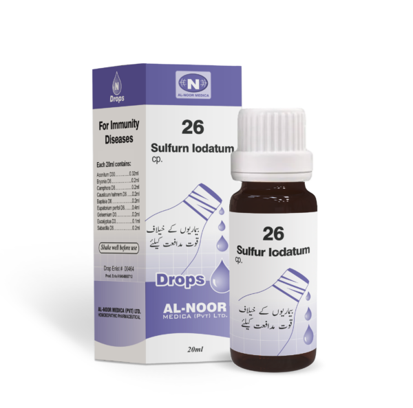 AL Noor N-26