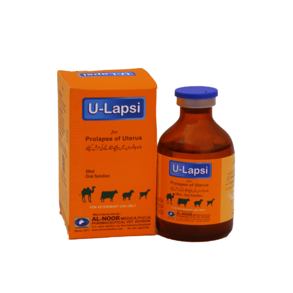 U-LAPSI