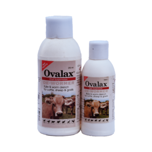 Ovalax